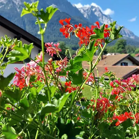 Gufler Appartement *